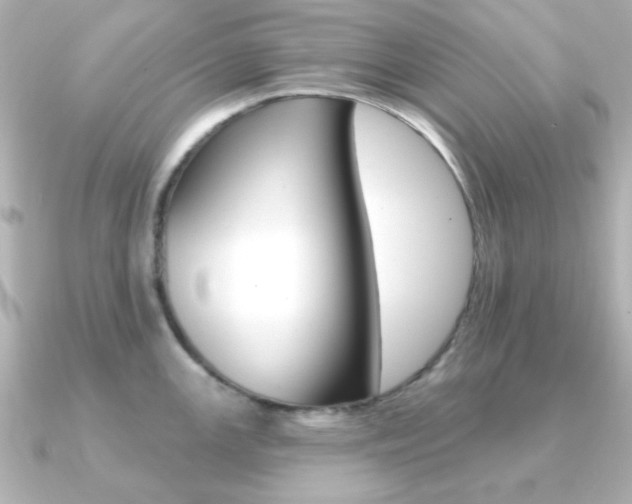 X0000091371147200708101110