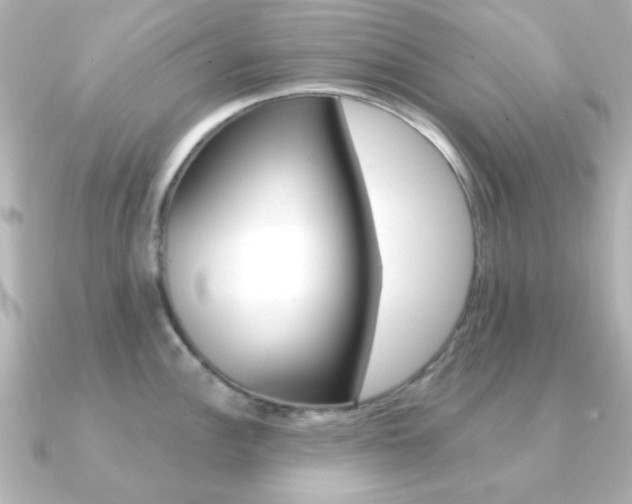 X0000091371148200708101110