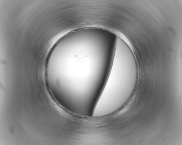X0000091371149200708101110