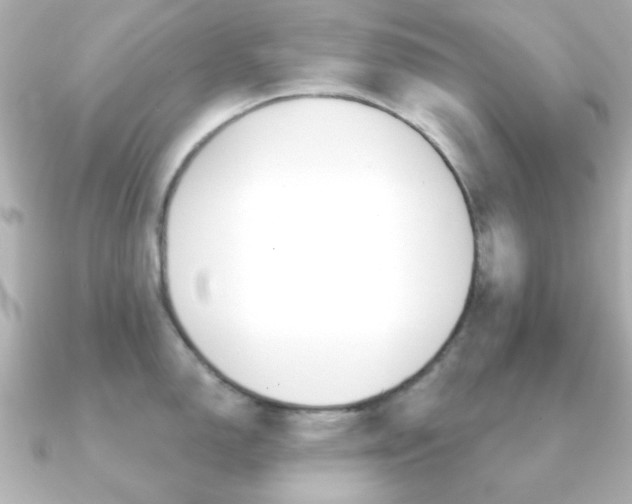 X0000091371150200708101110