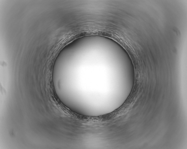 X0000091371153200708101109