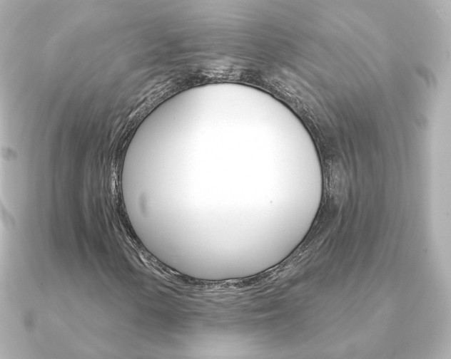 X0000091371154200708101109