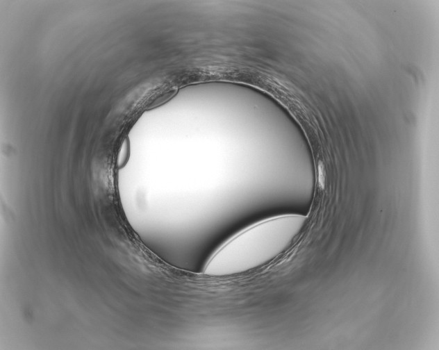 X0000091371155200708101109