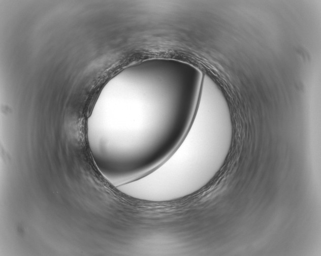 X0000091371156200708101109