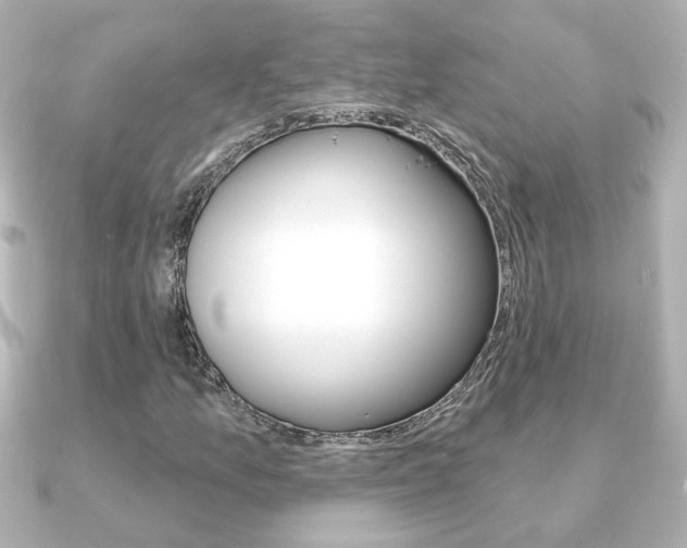 X0000091371157200708101109