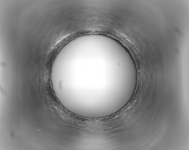 X0000091371158200708101109