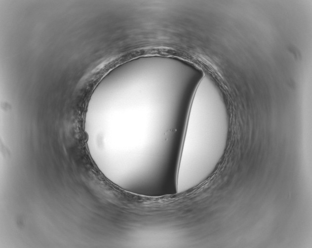 X0000091371159200708101109