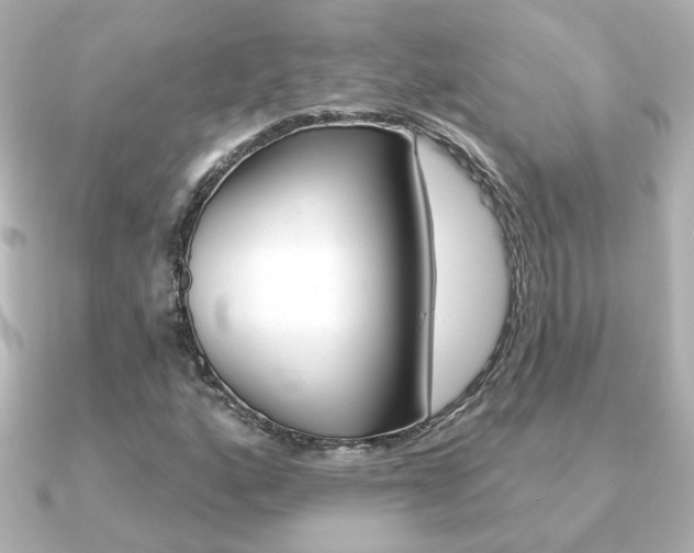 X0000091371160200708101109