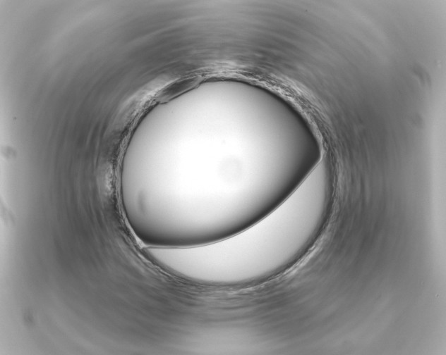 X0000091371161200708101109