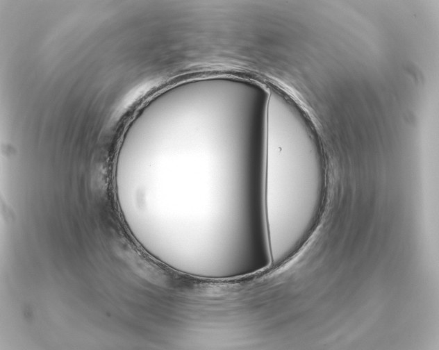 X0000091371163200708101109