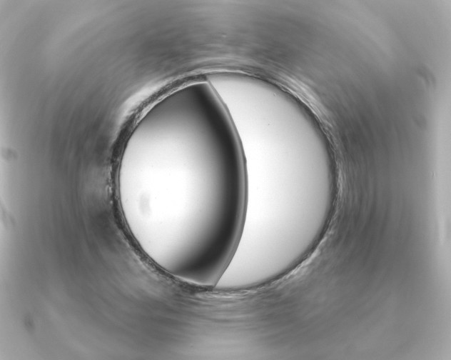 X0000091371164200708101109