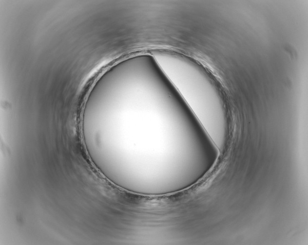 X0000091371165200708101109