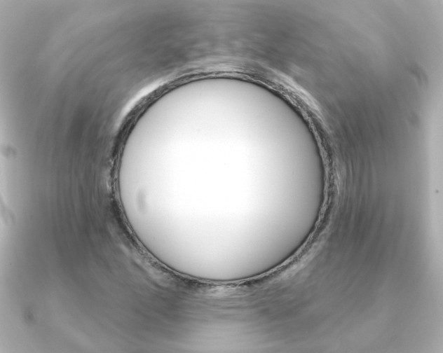 X0000091371166200708101109