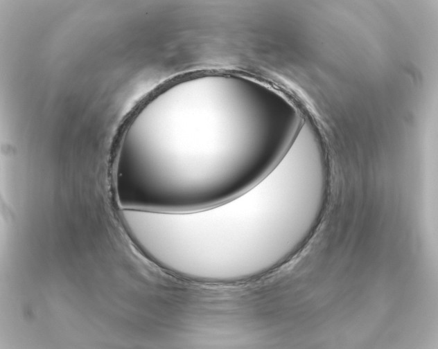 X0000091371168200708101109