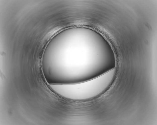 X0000091371169200708101109