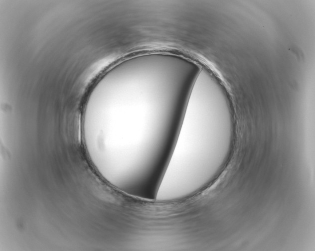 X0000091371171200708101109