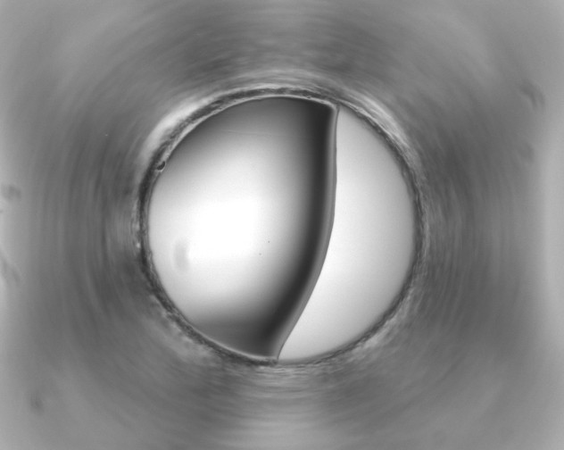X0000091371172200708101109