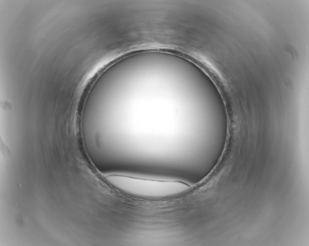 X0000091371173200708101109