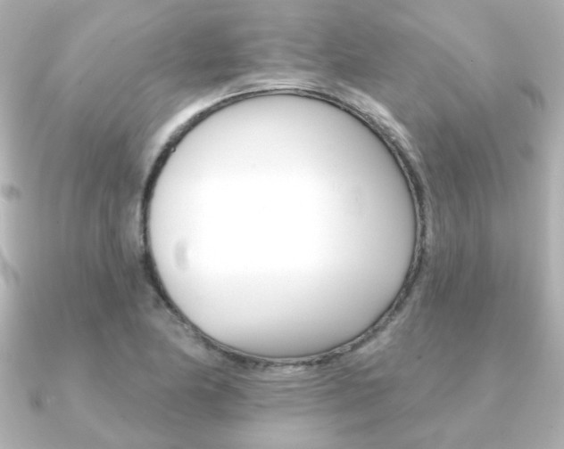 X0000091371174200708101109