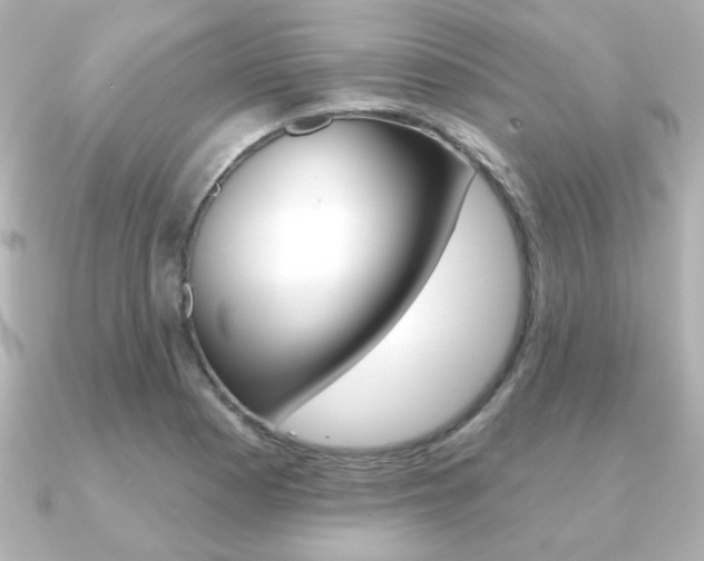X0000091371177200708101109