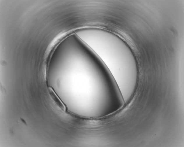 X0000091371180200708101109