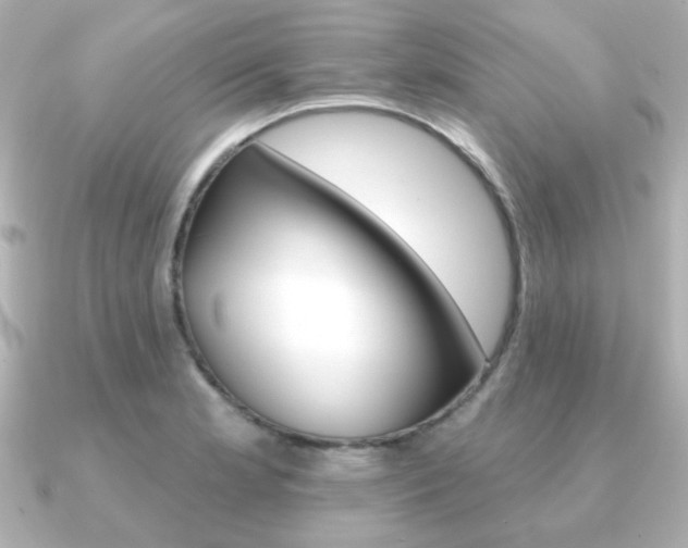 X0000091371181200708101109