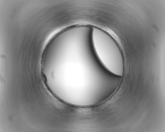 X0000091371183200708101109