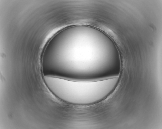 X0000091371184200708101109