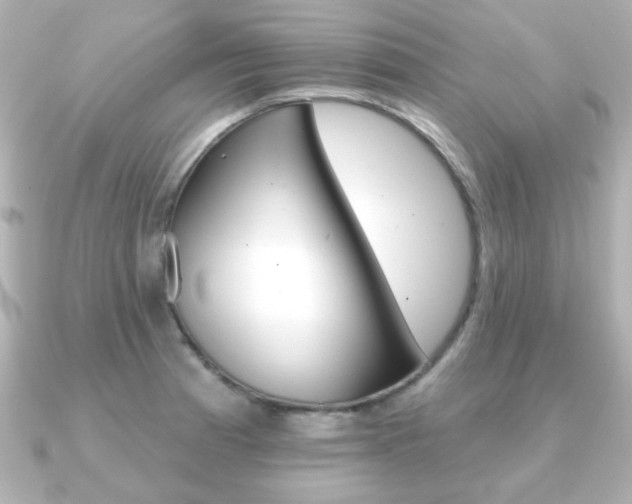 X0000091371185200708101109