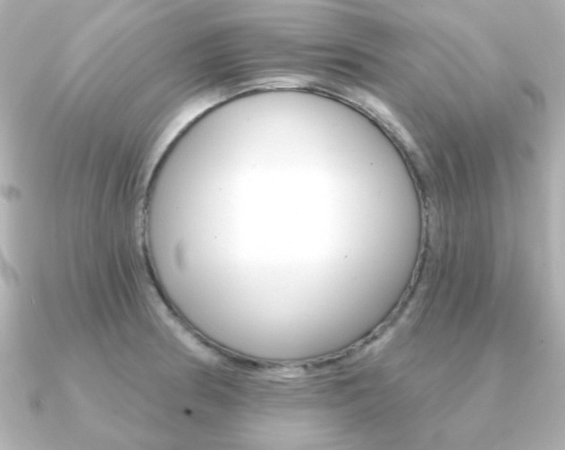 X0000091371186200708101109