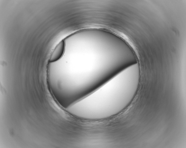 X0000091371187200708101109