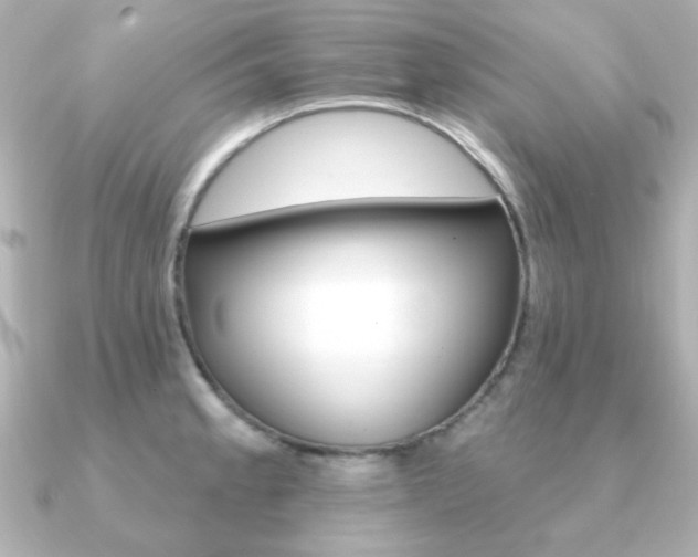 X0000091371189200708101109