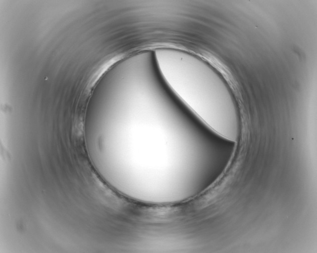 X0000091371193200708101109