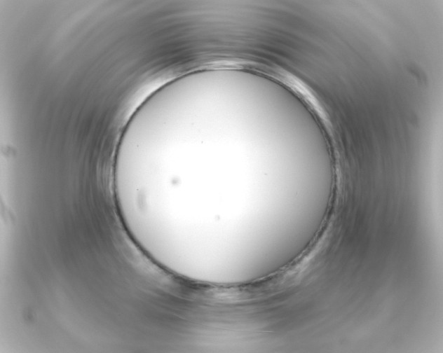 X0000091371194200708101109