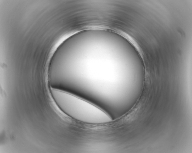 X0000091371195200708101109