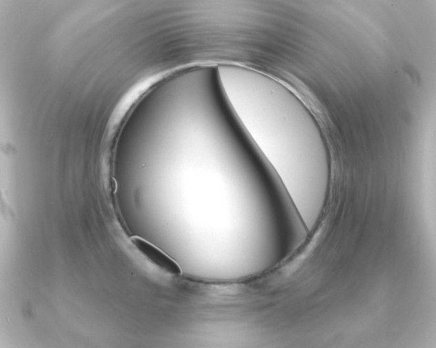 X0000091371196200708101109