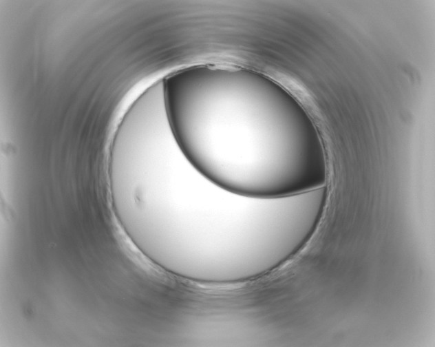 X0000091371200200708101109
