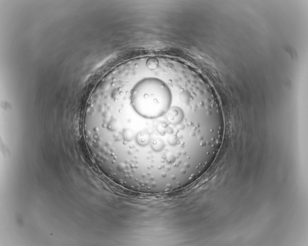 X0000091371205200708101108