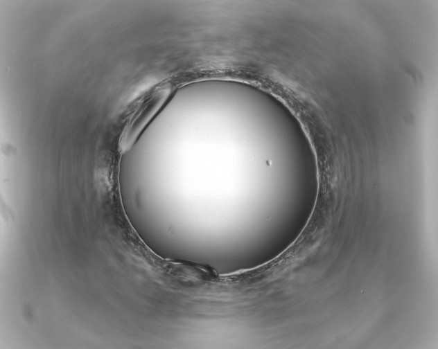 X0000091371206200708101108