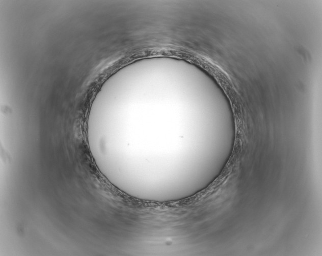 X0000091371207200708101108
