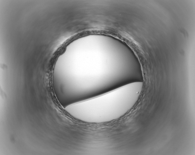 X0000091371208200708101108