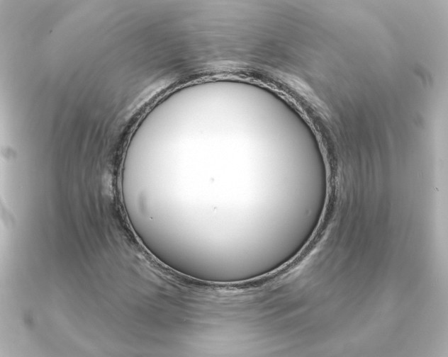 X0000091371209200708101108