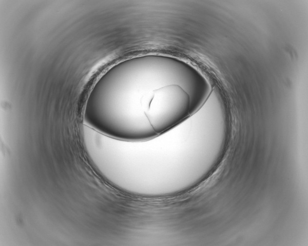 X0000091371210200708101108