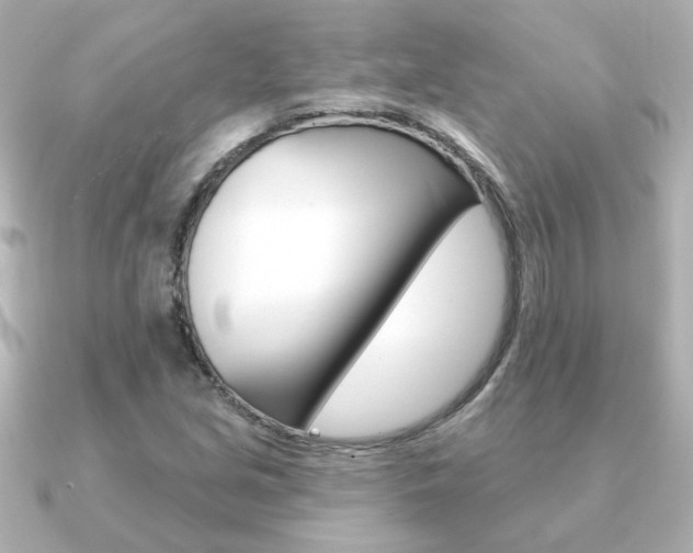 X0000091371213200708101108