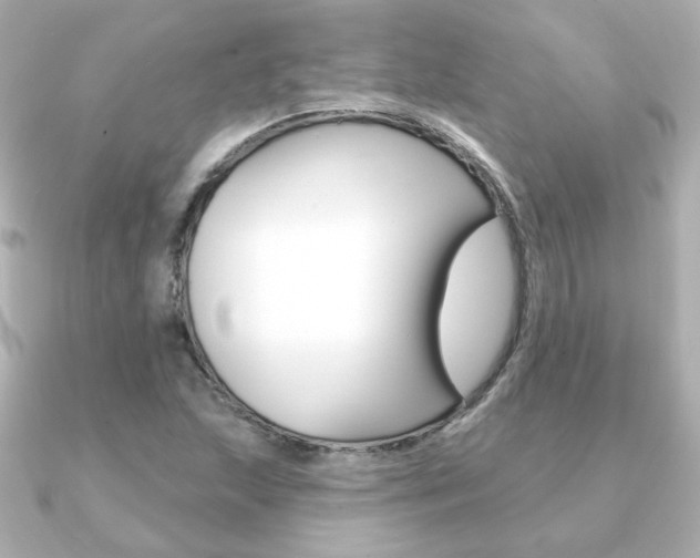 X0000091371215200708101108