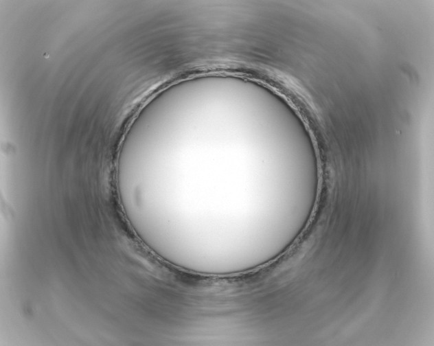 X0000091371217200708101108