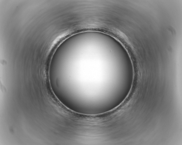 X0000091371218200708101108