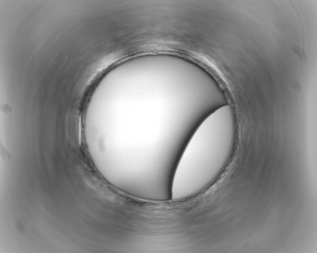 X0000091371219200708101109