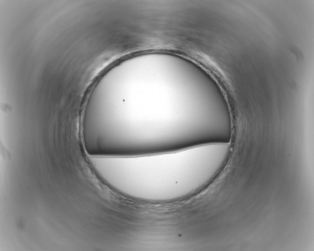 X0000091371220200708101109