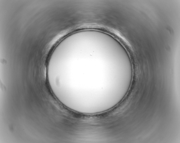 X0000091371221200708101109